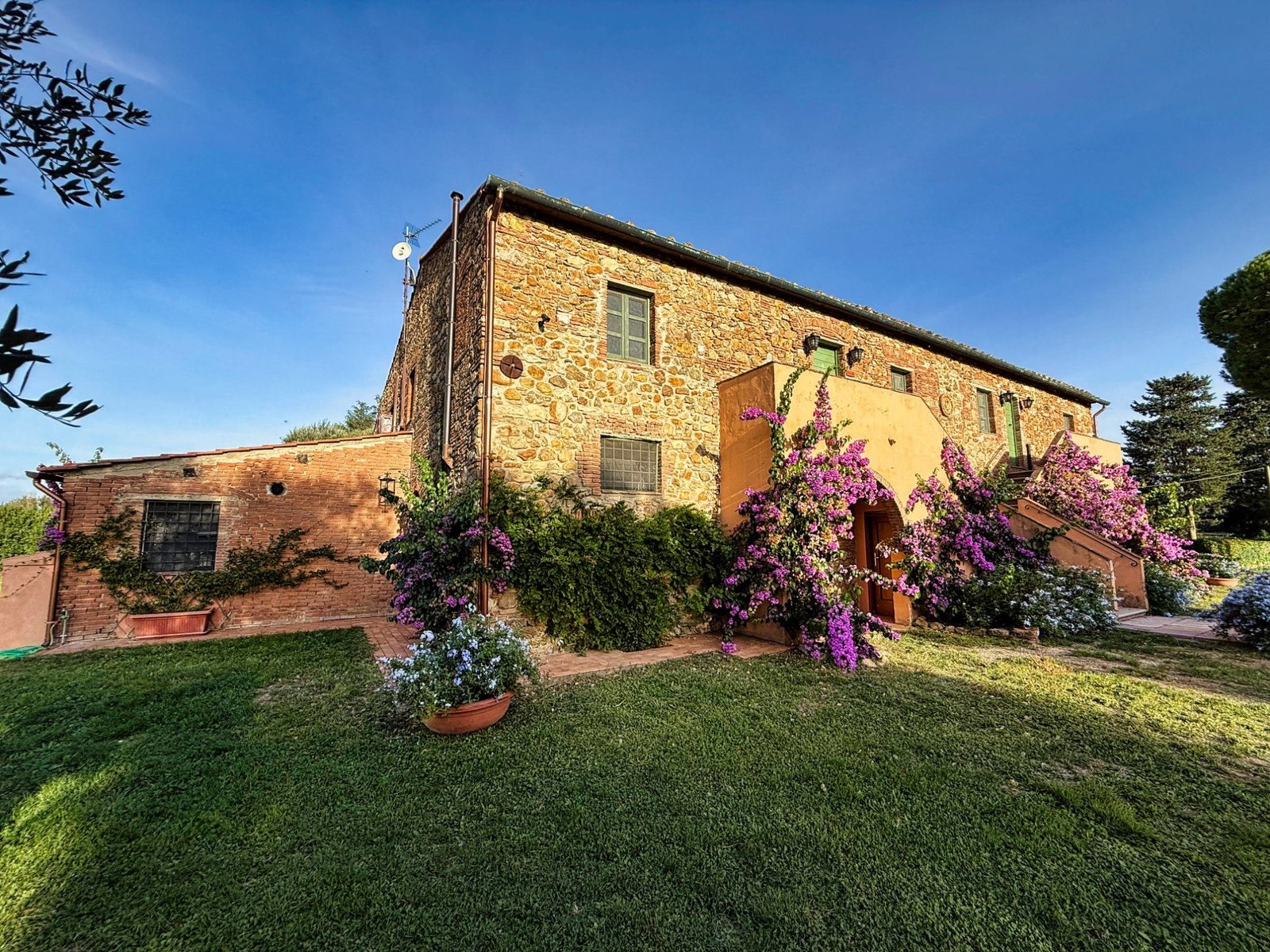 Seitliche Fassade des La Vivaldina Bauernhauses in Suvereto mit Bougainvillea und Zypressen